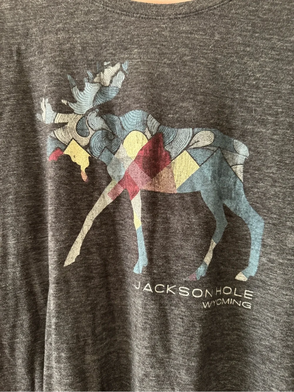Jackson Hole shirt size XL